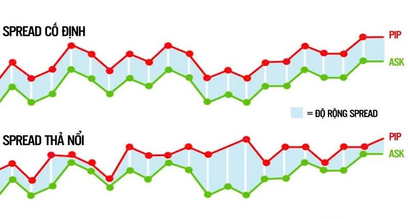Spread-la-gi-Tha-noi-va-co-dinh-la-2-dang-Spread-trong-thi-truong-Forex