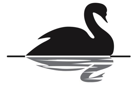 Nguy-co-thien-nga-den-bao-phu-nen-kinh-te-toan-cau-trong-tuong-lai