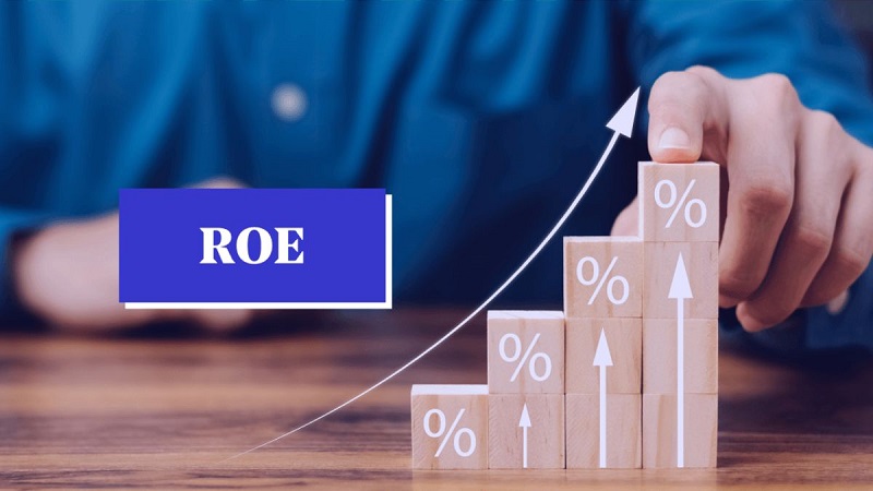 ROE-qua-cao-phan-anh-dieu-gi