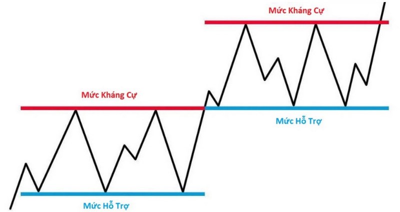 Tim-vung-khang-cu-va-ho-tro
