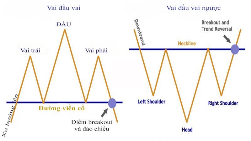 cac-loai-mo-hinh-vai-dau-vai