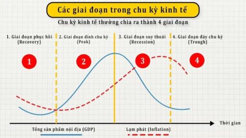 chu-ky-kinh-te-Kham-pha-tuong-tan-4-giai-doan-trong-mot-chu-ky