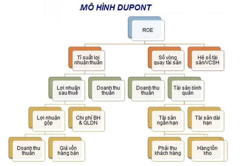 mô hình dupont là gì