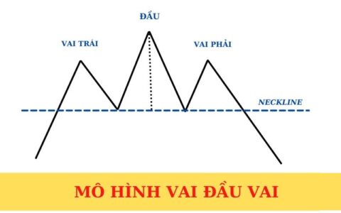 mo-hinh-vai-dau-vai-la-gi