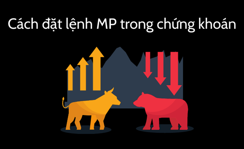 cach-dat-lenh-mp-trong-chung-khoan