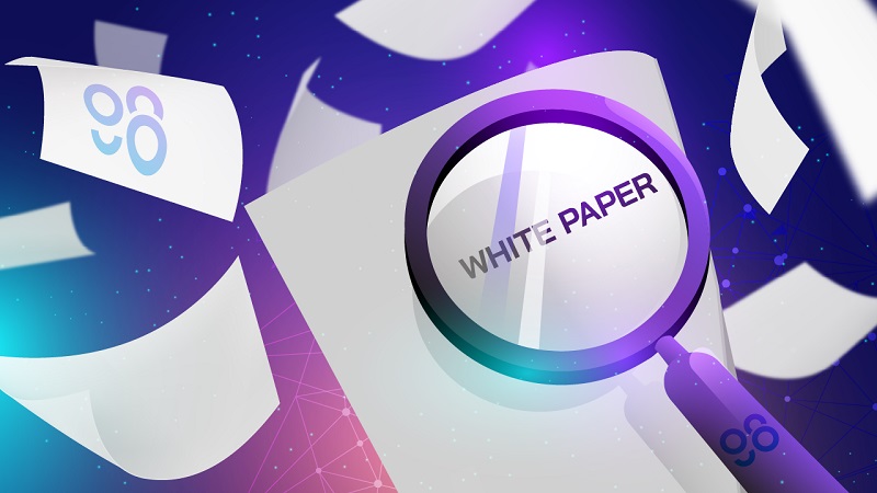 tai-sao-nha-dau-tu-can-quan-tam-den-white-paper