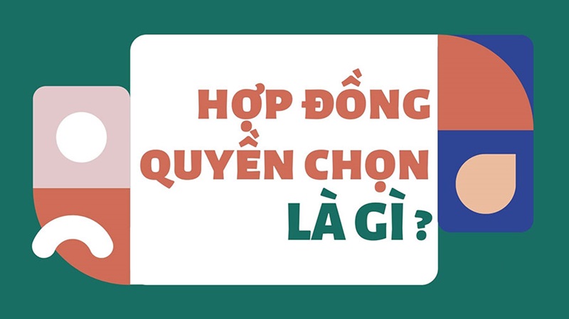 vi-du-hop-dong-quyen-chon